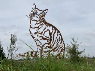 AC29 - Chat de gouttière